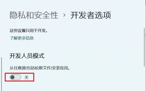 Win11系统开启开发者选项的方法