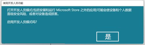Win11系统开启开发者选项的方法
