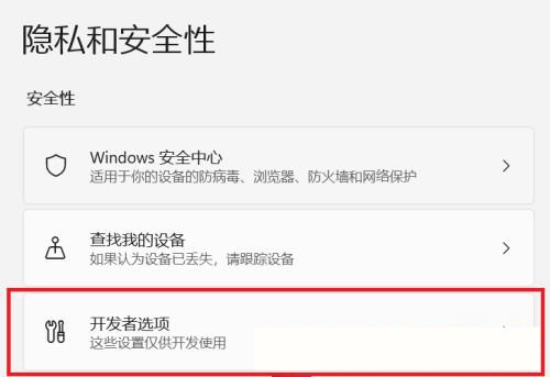Win11系统开启开发者选项的方法
