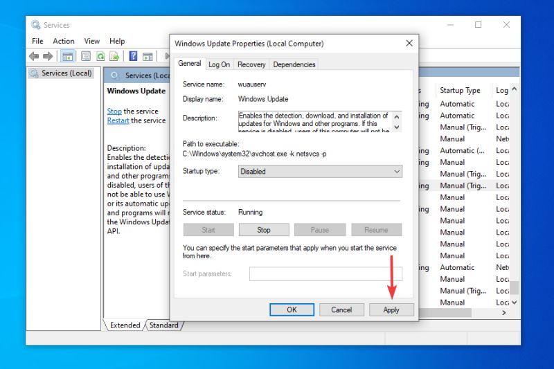 如何获取Win11更新？检查Windows更新没有出现Win11