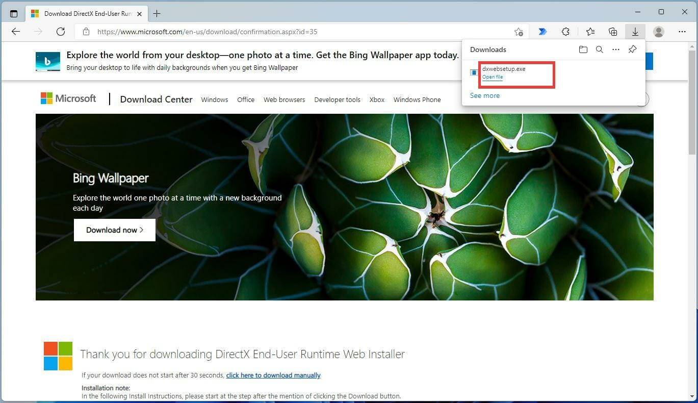 为什么会出现 DirectX 错误？如何修复 Win11 DirectX 错误？