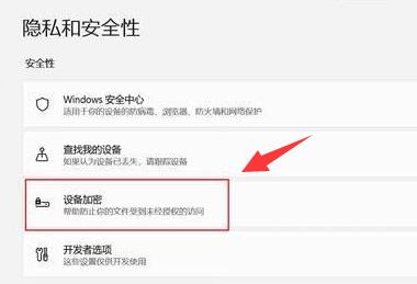 Win11怎么加密？Win11系统设备加密的方法