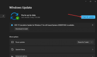 VPN不起作用怎么办？Win11系统VPN不起作用的解决方法
