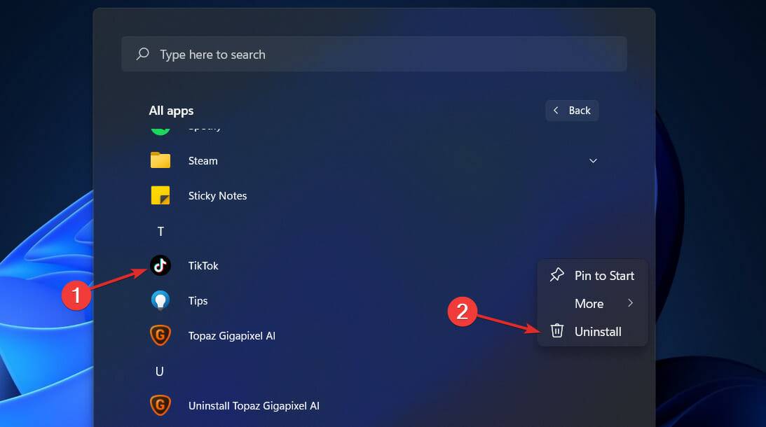 如何从 Win11系统中删除 TikTok ？