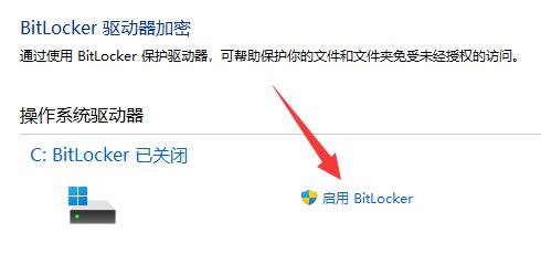 分区怎么加密？Win11系统分区加密的方法