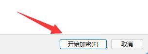 分区怎么加密？Win11系统分区加密的方法