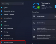 Win11系统资源管理器闪退怎么回事？怎么解决？