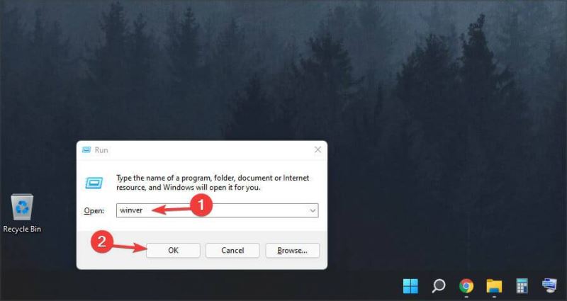如何检查我的 Windows 11 系统版本