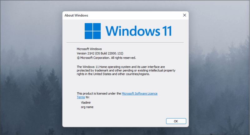 如何检查我的 Windows 11 系统版本