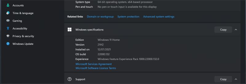 如何检查我的 Windows 11 系统版本