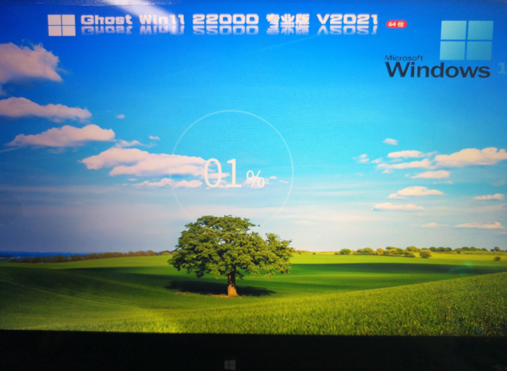 Windows11专业版u盘安装教程 教你用u盘安装Win11系统