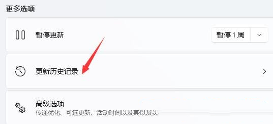 Win11电脑闪屏怎么解决 Win11电脑闪屏解决方法介绍(2)