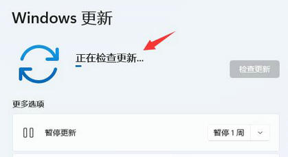 win11分辨率锁死1024×768怎么办(2)