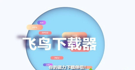 飞鸟下载器iOS会员兑换码有哪些 飞鸟下载器iOS会员兑换码分享