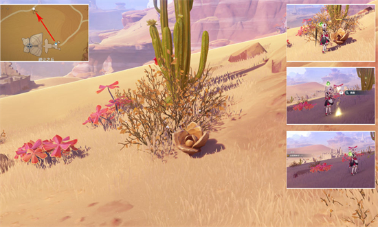 原神种植金蔷薇隐藏任务怎么做 原神种植金蔷薇隐藏任务攻略分享(3)