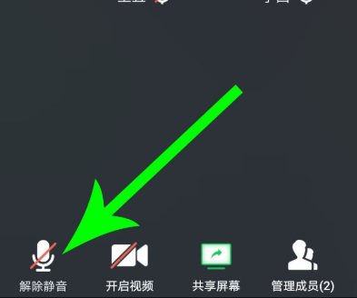 腾讯会议静音怎么设置 腾讯会议静音设置教程(1)