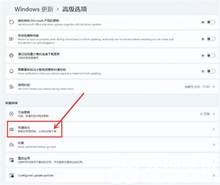 windows11如何打开传递优化功能 windows11打开传递优化功能方法介绍(2)