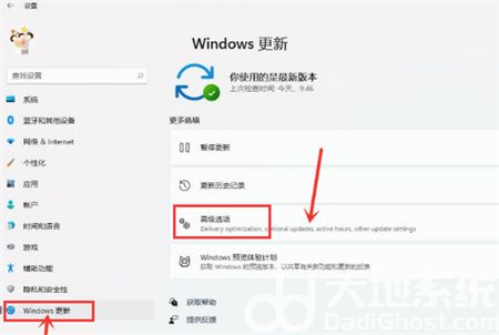 windows11如何打开传递优化功能 windows11打开传递优化功能方法介绍(1)