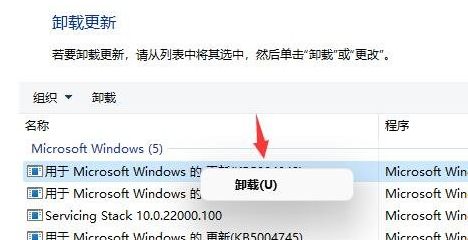 Win11电脑闪屏怎么解决 Win11电脑闪屏解决方法介绍(3)