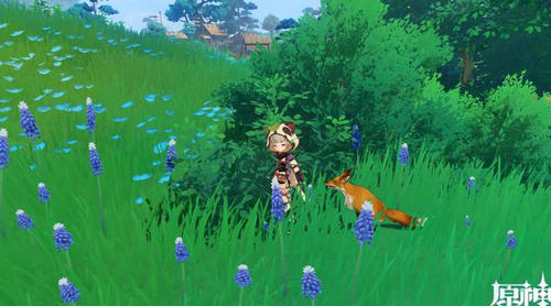 原神稻妻特色动物有哪些 原神稻妻特色动物种类及位置介绍(1)