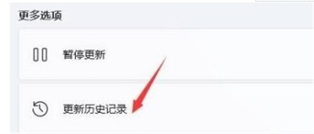 win11卸载更新怎么操作 win11卸载更新操作方法介绍(1)