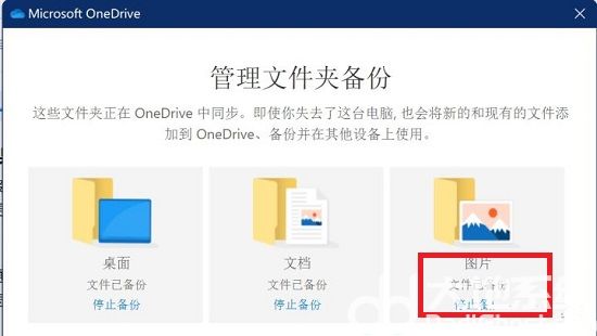 win11照片打开就闪退怎么办 win11照片打开就闪退解决方法(1)