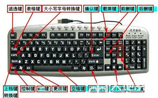 win11无线鼠标没反应怎么回事 win11无线鼠标没反应怎么办(1)