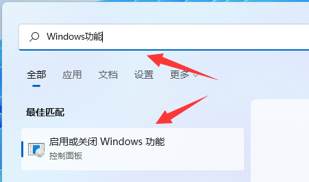 win11hyper-v怎么打开 win11hyper-v打开方法教程(1)