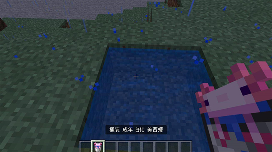 我的世界蝾螈怎么带走 我的世界蝾螈怎么捉介绍(2)