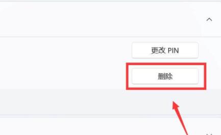 win11删除pin码为灰色怎么办 win11删除pin码为灰色解决教程(2)