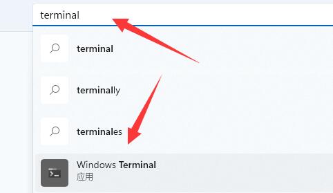 win11找不到文件wt.exe怎么办 win11找不到文件wt.exe解决方法(1)