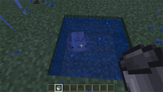 我的世界蝾螈怎么带走 我的世界蝾螈怎么捉介绍(1)