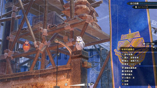 怪物猎人崛起曙光福木兔拍照任务怎么做 怪物猎人崛起曙光福木兔拍照任务攻(2)