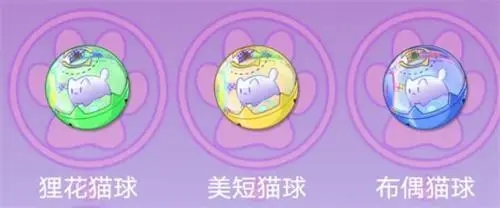 猫之城猫球测试怎么选 猫之城猫球测试选择攻略(1)