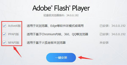 win11flash插件怎么启用 win11flash插件启用方法介绍(2)