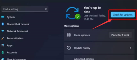 windows11显卡驱动怎么更新 windows11显卡驱动更新方法介绍(2)