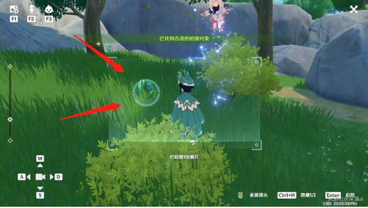 原神蒙德特产有哪些 原神蒙德特产分布图大全(3)