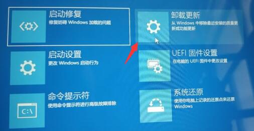 win11回退按钮没有反应怎么办 win11回退按钮没有反应解决方法(1)