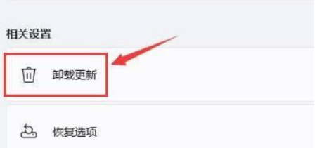 windows11黑屏启动不了怎么办 windows11黑屏启动不了解决方法(1)