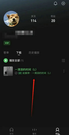 汽水音乐下载的音乐在哪里 汽水音乐下载的歌曲在哪个文件夹(2)