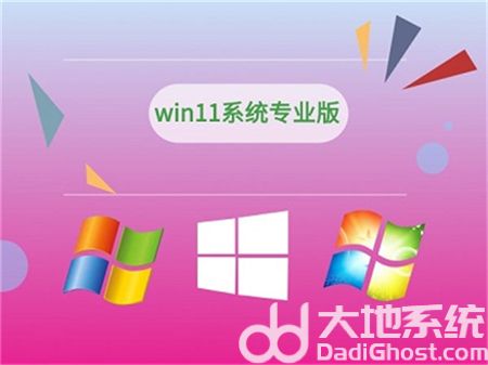 win11专业版和家庭版区别是什么 win11专业版和家庭版区别介绍(1)