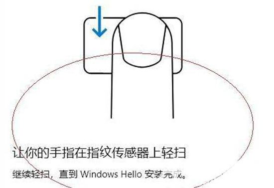 windows11无法录入指纹怎么办 windows11无法录入指纹解决方法(5)