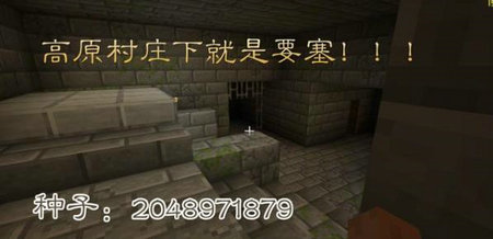 我的世界最大村庄种子代码是多少 我的世界最大村庄种子代码2023(5)