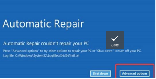 系统之家win11黑屏怎么办 系统之家win11黑屏解决办法一览(1)