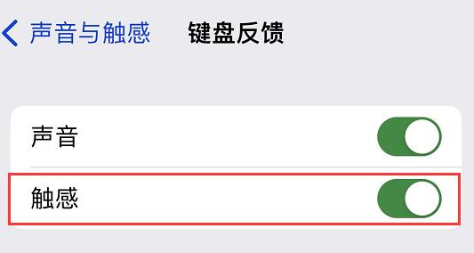 ios16键盘震动怎么开 ios16键盘震动设置方法(1)