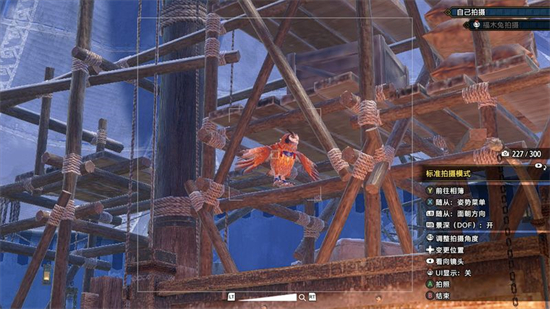 怪物猎人崛起曙光福木兔拍照任务怎么做 怪物猎人崛起曙光福木兔拍照任务攻(1)