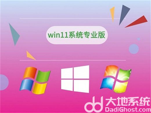 Win11家庭版和专业版有什么区别 win11家庭版和专业版的区别一览(1)