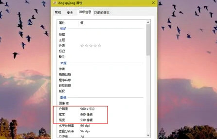 windows10怎么看图片属性 windows10图片属性查看方法(2)