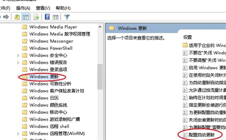 windows10禁止自动更新如何设置 windows10禁止自动更新设置方法介绍(1)