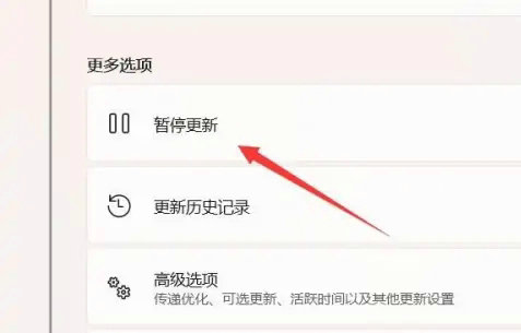 windows11取消自动更新在哪 windows11取消自动更新位置介绍(1)
